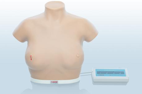電子乳腺癌觸診、視診訓(xùn)練模型